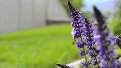 The truth about Utah