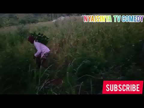 Nyama Ya Matanga Inaleta Shida 