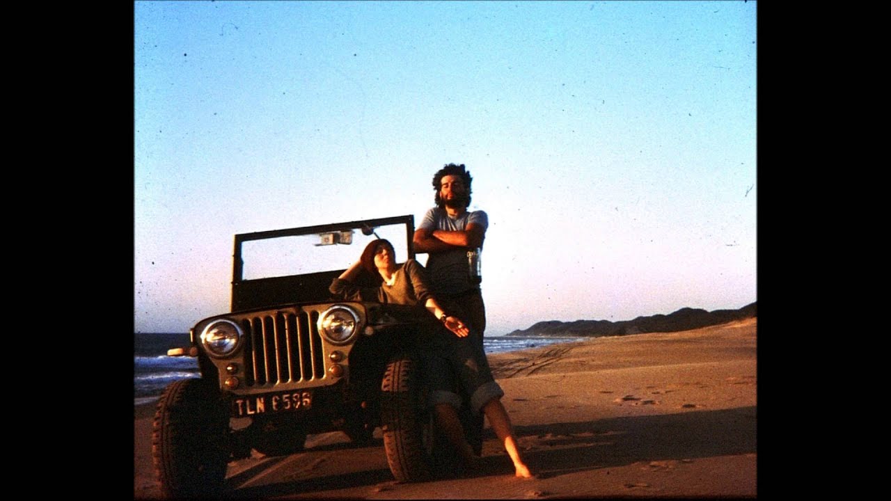 Jane Gaisford - Wolf