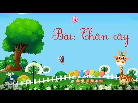 TNXH lớp 3 tuần 21: Thân cây (2 tiết)