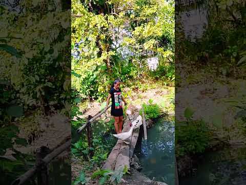 sinundo ko ang alaga kong lakwatsera