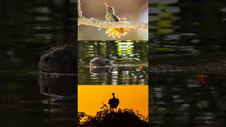 This Might Be the Wildest Road on Earth screenshot 2