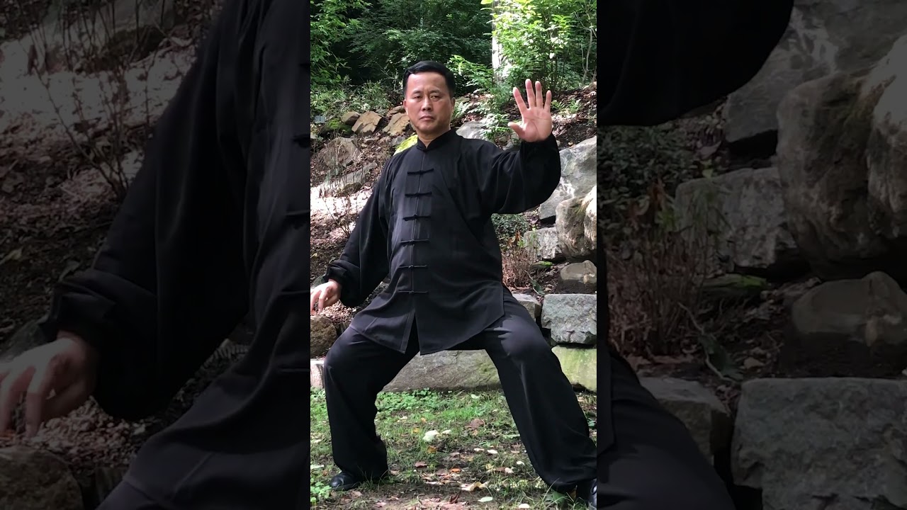 19 Form 十九式 Part 2 | Master Ren Guangyi 任广义 | Chen Taijiquan Tai Chi 陳氏太极 | Chi Force