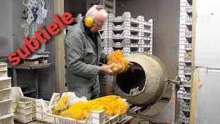 Aardappelveredeling Blauw Gevoeligheid Bepalen Proefveld Aardappelen.