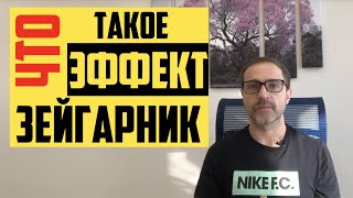 Психологический Эффект незакрытого гештальта, психологический эффект Зейгарник. Тарасов Александр