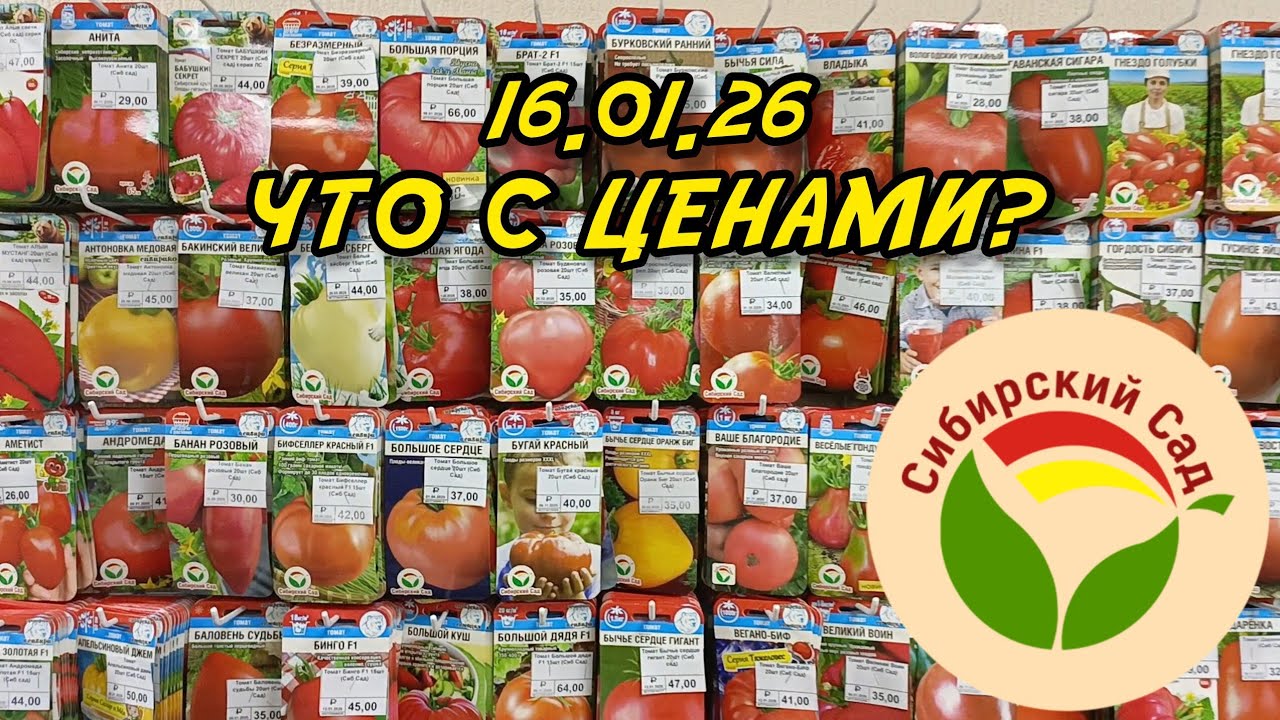 В восторге от ассортимента и цен в Садовый центр СибСада. 16.01.26 г.Новосибирск, пл. Маркса. Томаты