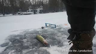 Hudson Valley Ice Fishing 2021