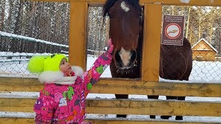 Семейный влог В гостях у Деда Мороза | Праздник и Новогоднее настроение