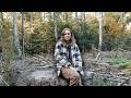Ref:LP2slovPq7U Ich habe keinen wald mehr!   warum so viele b�ume weg sind