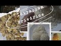 You have some leftover Idiyappam... Come lets make some friedrice😋 #video #viral #trending #shorts