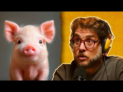 ¿ADOPTAR UN COCHINO?