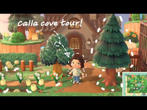 Calla cove island tour! Calling all katie on Calla cove fans to watch this island tour!