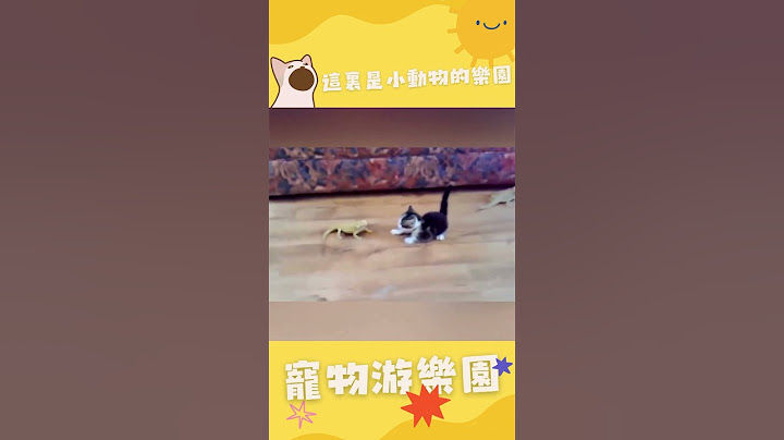 猫：吓得我一激灵#cat #cute #shorts