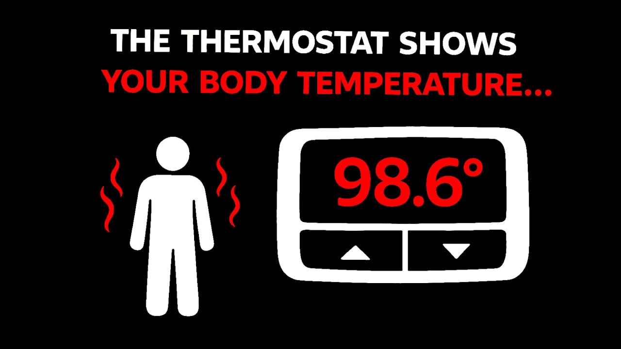The Thermostat Shows Your Body Temperature...