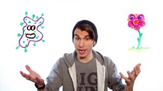 Can We Genetically Improve Intelligence