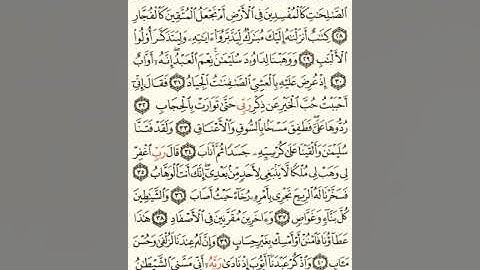 ماهر المعيقلي سورة ص مكتوبة صفحة 455 مصحف المدينة المنورة جودة عالية