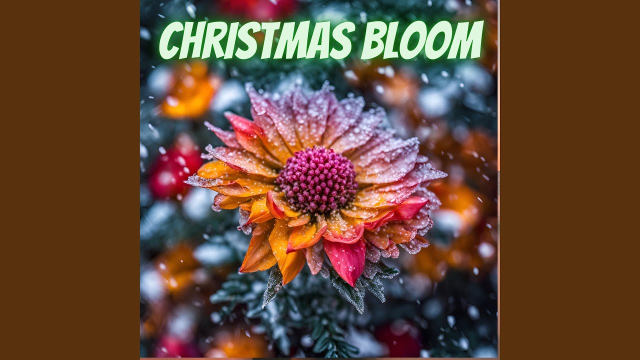 Winter’s Gentle Embrace