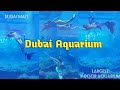 What is inside the DUBAI MALL Aquarium? | Largest Indoor Aquarium in the World&#39;s Largest Mall