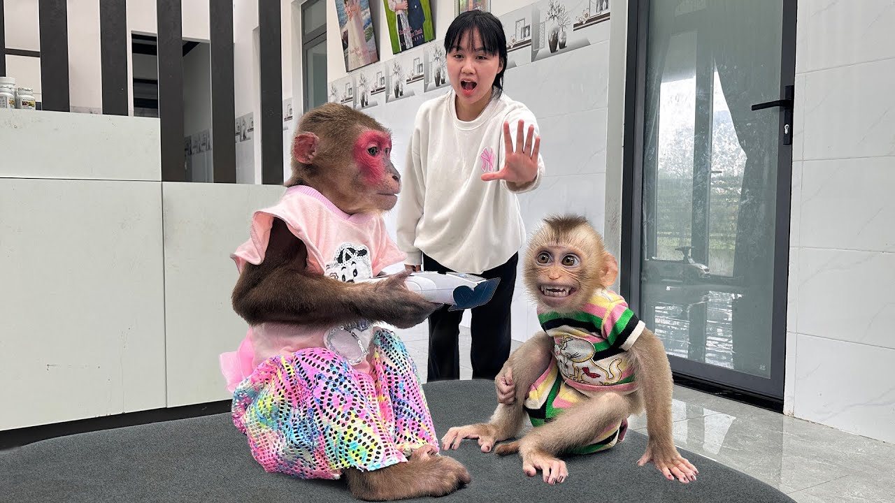 The panicked older sister promptly stopped Kobi from cutting Monkey Mon's hair