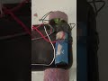 How to Make a Simple DIY Toy Car at Home (Easy)!!@xr_experiment #shorts