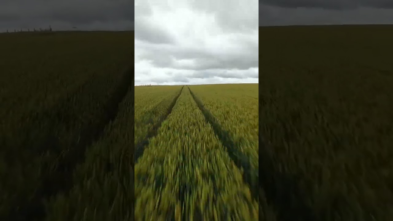 Fpv 5” quad, low flying over the field