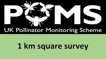 PoMS: 1km square  survey
