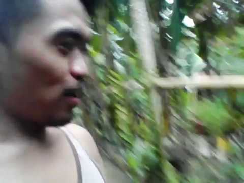 Mga Tanim Sa Aming Bahay Gulayan Anglito Channel Official 