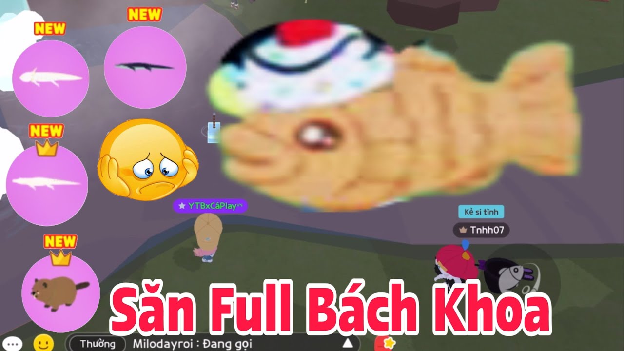 (Play Together) Hành Trình Săn Full Cá Hiếm Trong Bách Khoa