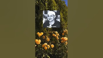 |سورة: غافر (٣٩) -🎙️الشيخ: محمد المنشاوى|
