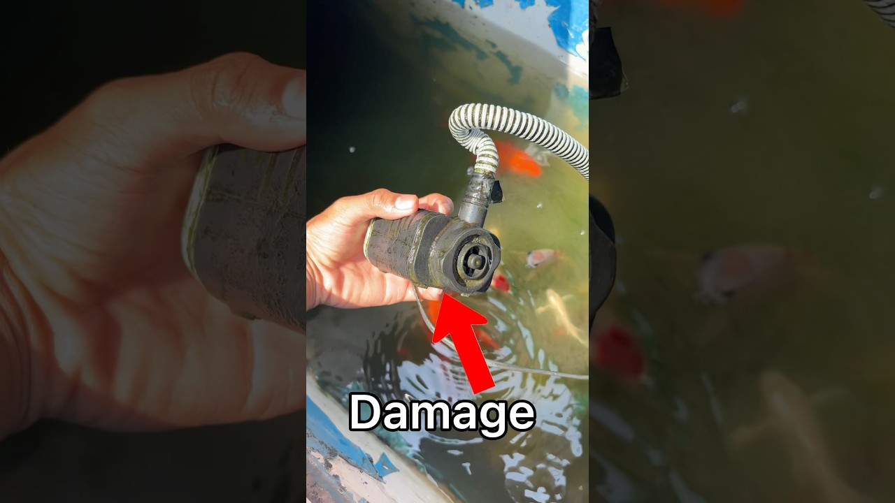 Pond filter Stopped working 😨 