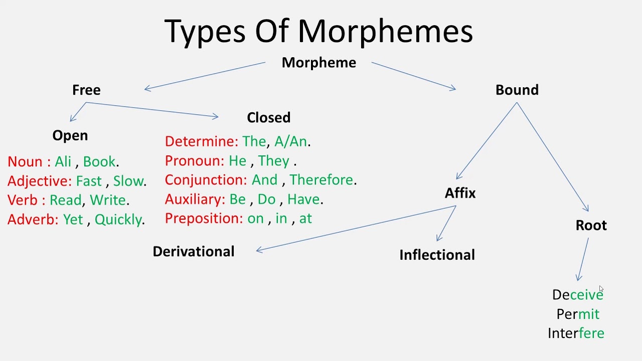 أنواع الـ(morphemes) و شرح مبسط ,