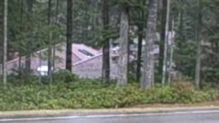 McCormick Woods, Port Orchard WA