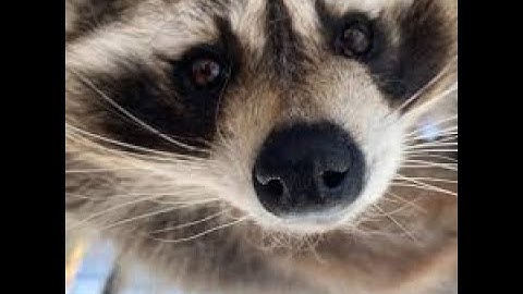 Hard cheating on rust ft.Fathom lite