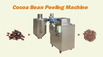 2022 Cocoa Bean Peeling Machine | Automatic Cocoa Bean Peeler Machine Working Video