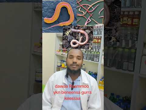 Raammoo Gurra Keessa Ykn Bineensa Nama Seenef Dawaa