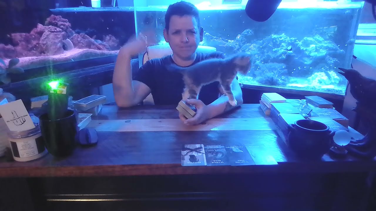 Sagittarius 100% PURE PSYCHO(s)  HERE TRYING TO WIN AT ALL COST!! 😯😱 #sagittarius #scary #protest