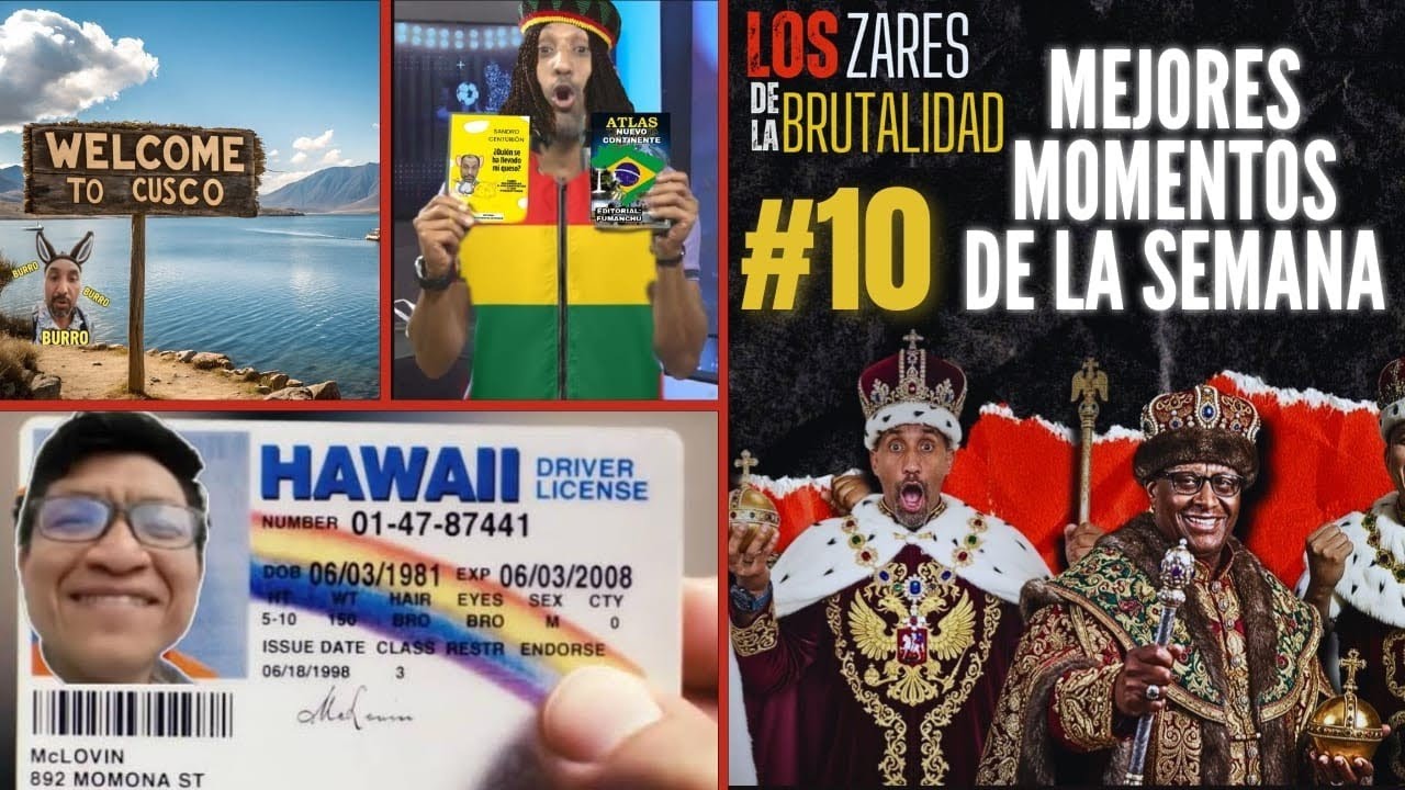 MEJORES MOMENTOS DE LA SEMANA #9 | DAMMBRO OFFICIAL