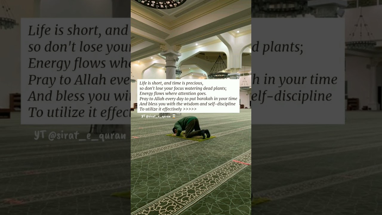 Don't lose your focus watering dead plants 