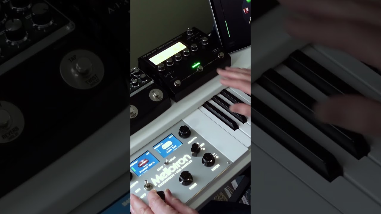 Mellotron and Boss RE-202 Space Echo looping 