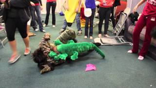 Harlem Shake Bloopers (Fbcw Youth)