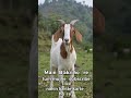 #please like and subscribe#