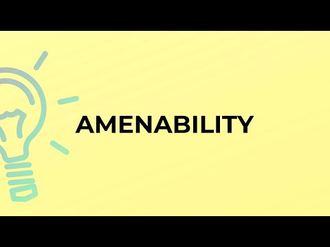 What is the meaning of the word AMENABILITY?