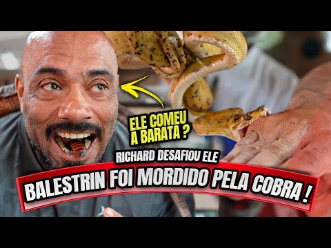 🚨BALESTRIN WAS BITTEN BY RICHARD'S SNAKE - DID HE EAT A COCKROACH?