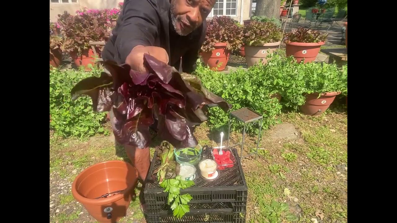 Breakfast with Darral 