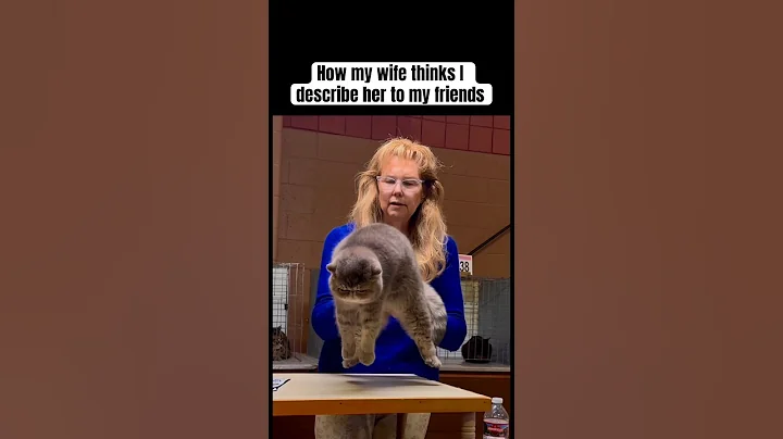 Video 11812341: cat funny love