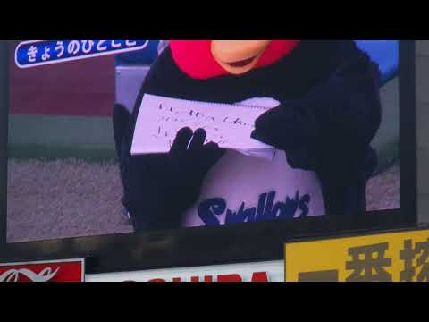 20170903神宮球場つば九郎のきょうのひとこと