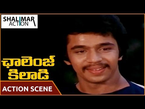 Challenge Khiladi Movie || Arjun And Anand Babu Action Scene In Park || Arjun || Shalimar Action