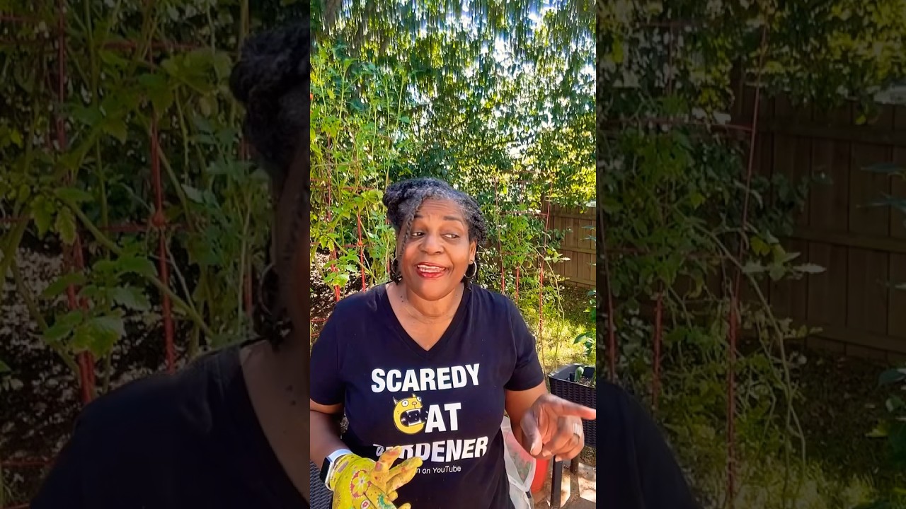 You pick the plants, your soil determines what grows!