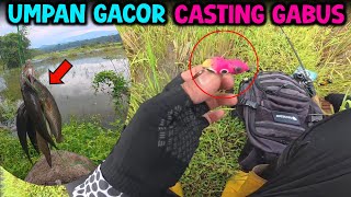 Powerful bait for casting snakehead fish!! Sakti Lure screenshot 2