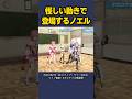 怪しい動きで登場する白銀ノエル